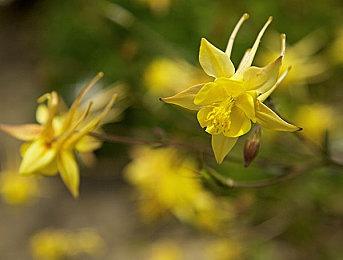 虚幻5恐怖游戏《Still Wakes the Deep》PC配置公布